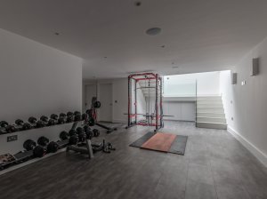 basement gym